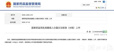 二十年磨一剑，全球首创“稻米造血”新药获批上市