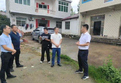 从会议室到田间地头的距离，蕲春县向桥乡这样走通