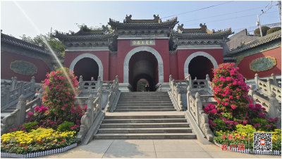 一场武当太极的节