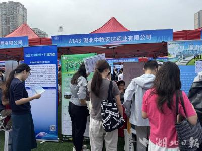 湖北武穴：“三向发力”引才聚智 激活青年人才回流新动能