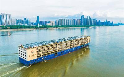 风高浪急中写下中国韧性