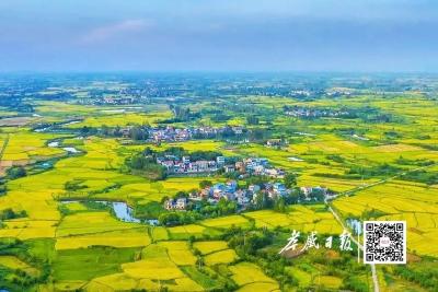 沃野织就丰收景 家园和美气象新