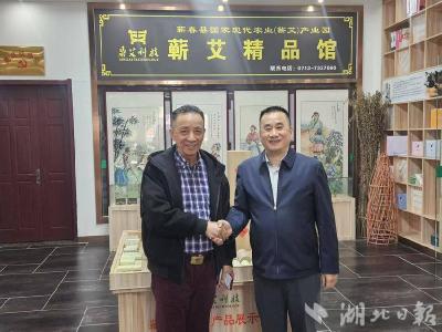 赤子归乡助艾兴 蕲春产业谱新篇  