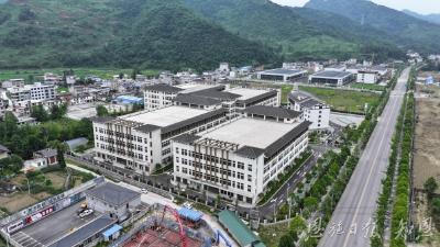 一进一出：产业升级迈新步