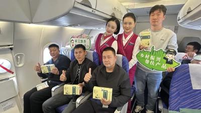 “能养生”的航班？蕲春艾香飘满南航客舱，真相是… 