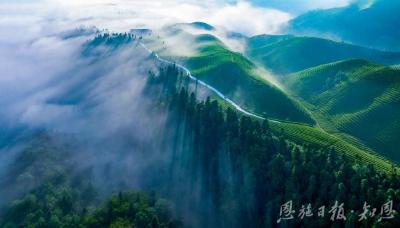 一经一纬：“两山”转化探新路