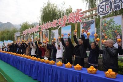 一颗橙子的“全链开发”——秭归探索“农旅文”深度融合，橙乡成功创建4A级景区
