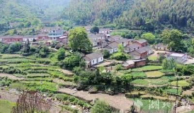 蕲春县向桥乡棠树岭村：“红色”引领绿色发展 古色添彩促振兴