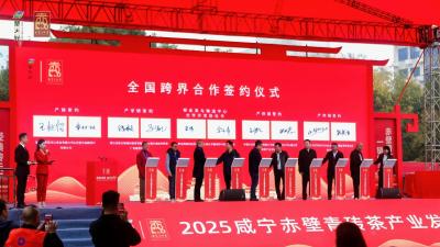 千年茶香焕新意——2025咸宁赤壁青砖茶产业发展大会侧记