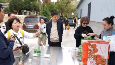 从甜柿到柿子醋：罗田甜柿实现从“鲜果售卖”到“价值跃升”