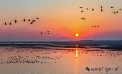 一枚沙湖咸蛋的“进阶”自白！