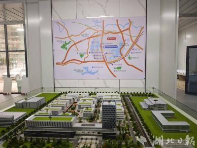 国产大飞机“尖刀”材料为何在这里锻造