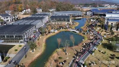 大别山兰花产业园开园：兰友云集 两天交易额达到7000万元