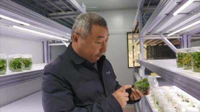 红安，突破99亿！