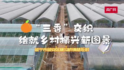 田园新曲｜“三香”交织绘就乡村振兴新图景