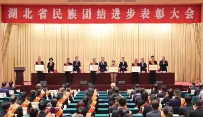 王忠林出席湖北省民族团结进步表彰大会 以铸牢中华民族共同体意识为主线 扎实推动我省民族工作高质量发展