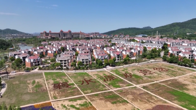 守护与焕新——襄阳执“匠心”之笔绘就古城“共生”画卷