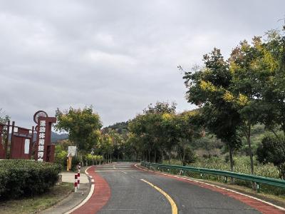 农村新鲜事儿：充电桩进村记