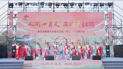 “归雁经济”拓展产业新版图——看麻城如何激活“楚商回乡”招商引资新热潮