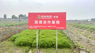 “荆楚优品”出村记：首衡城里的家乡味道