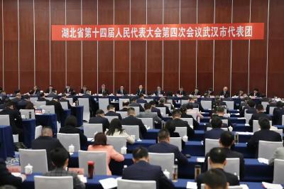 王忠林参加省十四届人大四次会议武汉代表团审议 坚持一张蓝图干到底 以实干实绩加快建设现代化大武汉