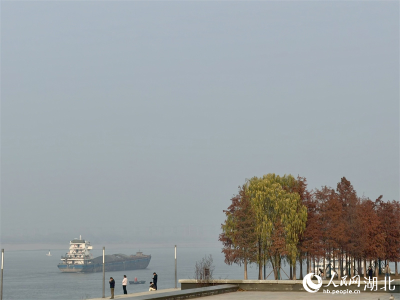 大江奔涌楚天阔 荆楚大地绿意浓