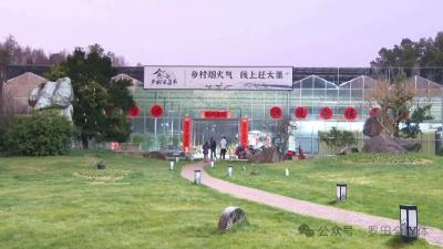 燕儿谷乡村云集市：云端集市架桥梁 电商助农富乡村