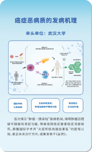 意想不到！这些新板眼都来自湖北！