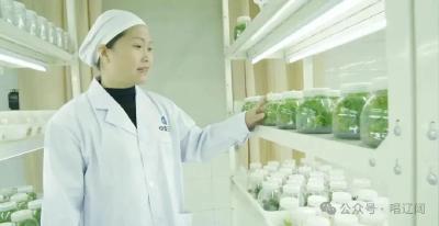 十年之变，湖北答卷