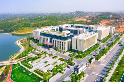 “三大件”与“三大变”——看新“宜昌造”如何筑牢工业高质量发展之基