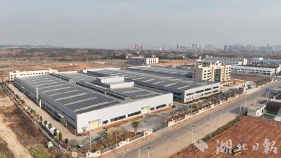 创新拉满弓 抢跑春天里 蕲春“开门红”这样干