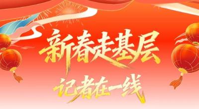 新春走基层 | 靠“品牌”破圈：这个村的“山货”从“地里香”变“市场旺”