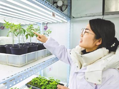 新春走基层｜春节科研忙，支点建设劲头足