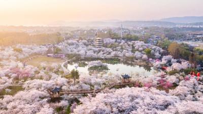 官宣！湖北发布十大赏花、踏春目的地