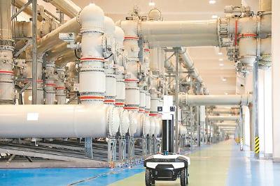 总书记这六问，我们稳稳接住了