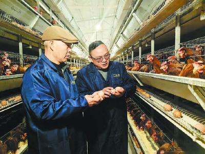 村小气场不小 干群齐心“筑巢” 五十六家企业“扎堆”落户雷家坪