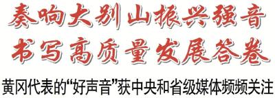 黄冈代表的“好声音”获中央和省级媒体频频关注