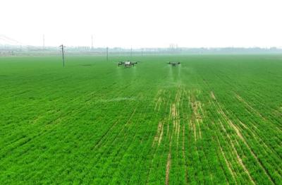 沃野千里逐春光——荆楚大地春管见闻