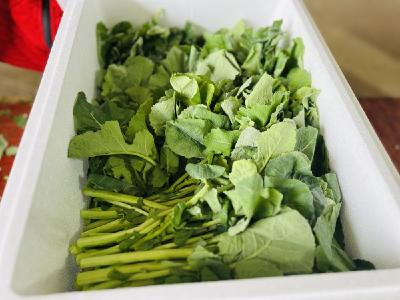 这款名字有点特别的蔬菜，为何爆火了？