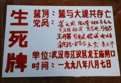 龙王庙·抗洪精神主题公园新貌亮相，“誓与大堤共存亡”留驻长江边