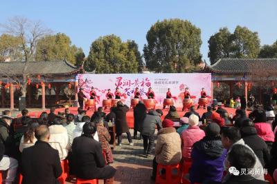 “梅”飞色舞——黄梅首届梅花文化旅游节