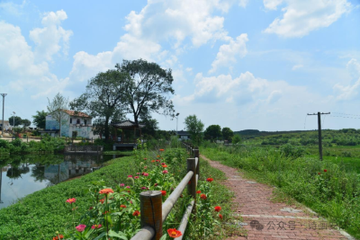 奏响乡村振兴的春日和弦——“全国文明村”湖北省安陆市赵棚镇团山村农文旅融合发展见闻