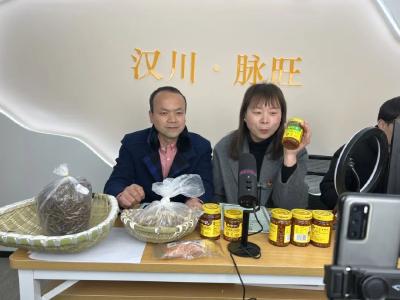 当千年古镇遇上“淬炼课堂”——乡镇干部成长的“脉旺答卷”