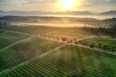中部崛起，湖北靠什么担重任？