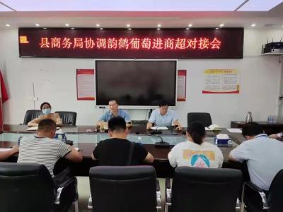 孝昌：葡萄丰收正当时，多方助力拓销路
