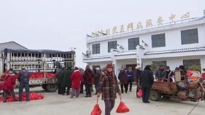 太暖了！连续21年，这个爱心老板又给全村的老人送年货了……