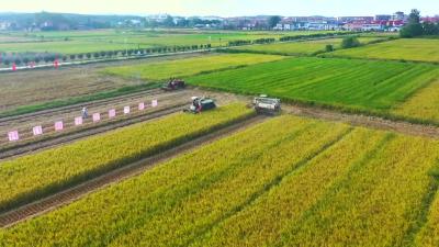 2023年1月16日《孝昌新闻》