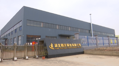 腾洋铜业开年订单旺  孝昌开启助企服务模式