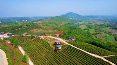 打卡最美乡村丨孝昌茶汤浴：茶旅融合助力乡村振兴