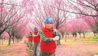 孝昌：“电”亮乡村旅游